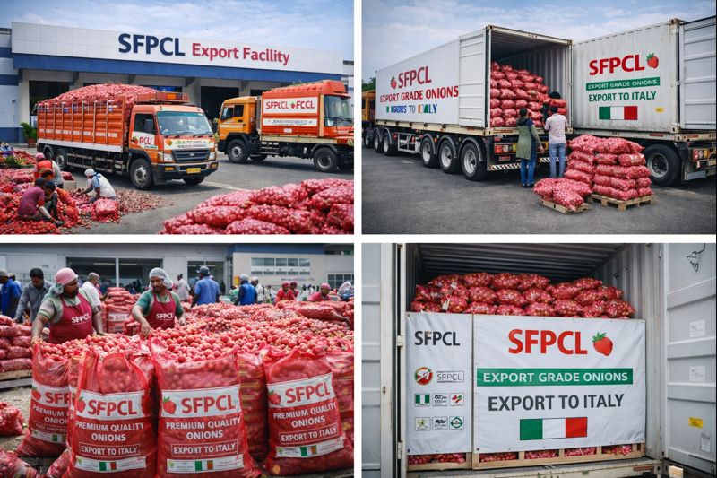 Domestic Bulk Trading of Onions and Pilot Export to Italy