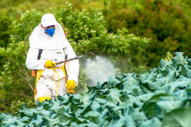 Pesticides & Fungicides Supply